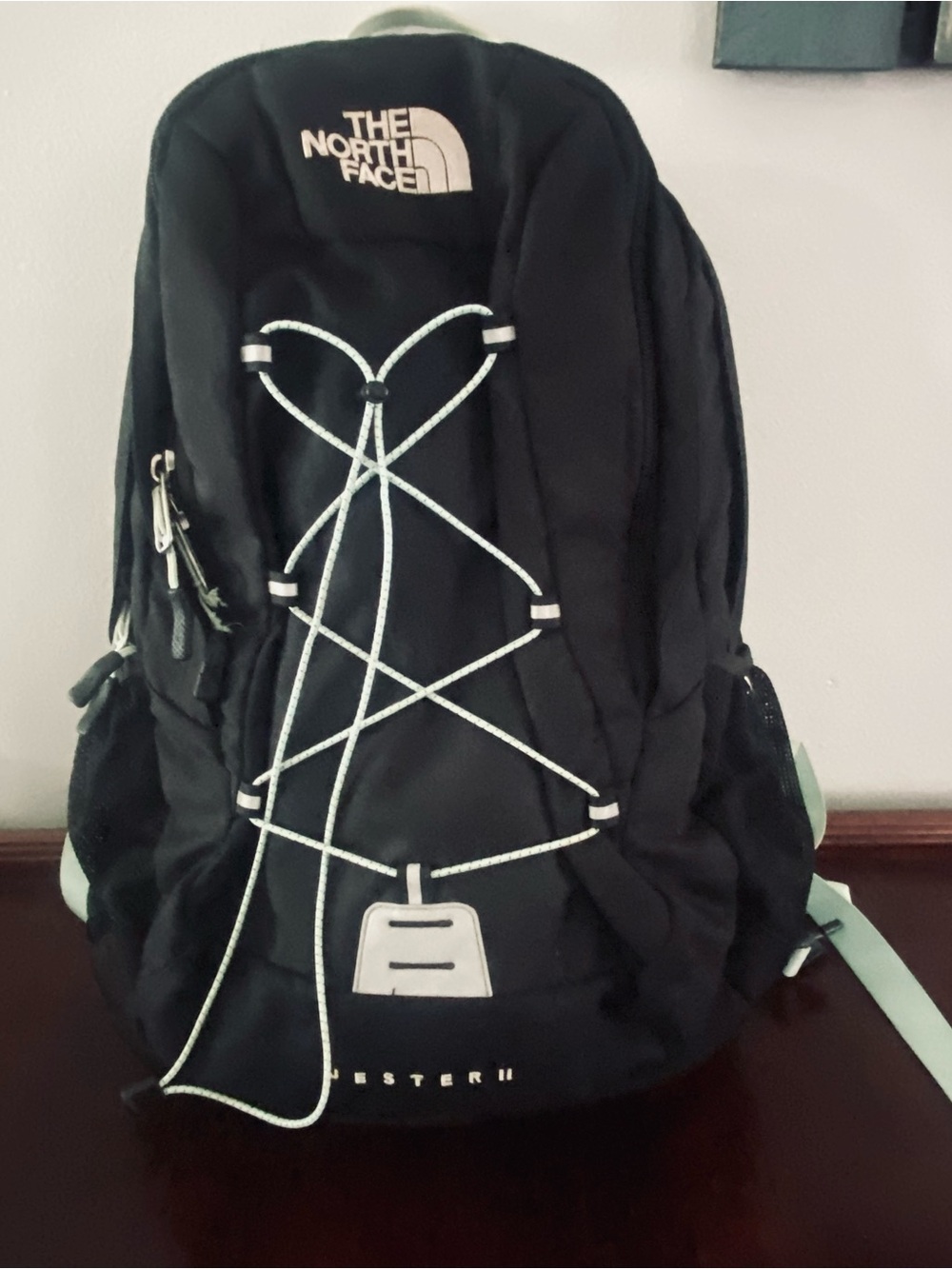 The North Face Black Backpack with Mint Accent Bungee Jester ll